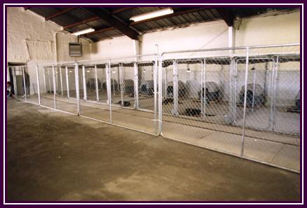 Kennel