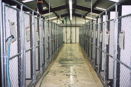 Kennel 